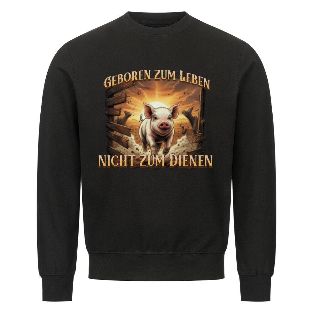 Image for color: schwarz